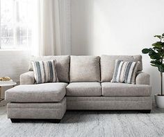 a living room with a sectional couch and potted plant