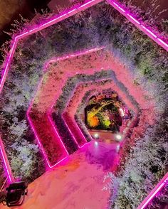 an illuminated tunnel in the middle of a park with trees and bushes on both sides