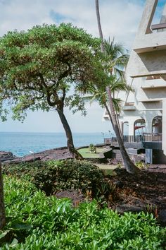 an ocean view from the side of a building with trees and bushes in front of it