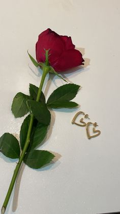 a single red rose sitting on top of a white table next to a pair of earrings