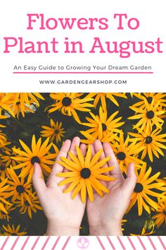 flowers to plant in august an easy guide to growing your dream garden