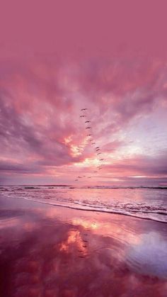 a flock of birds flying over the ocean at sunset