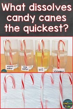 candy canes and water are labeled with words