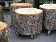 several pieces of wood sitting on wheels in front of some bushes and trees with no leaves