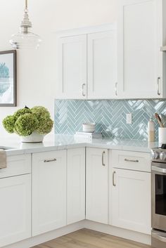 a kitchen with white cabinets and a green plant in the middle of the counter top