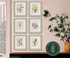 a vase with some flowers in it next to four framed pictures on a wall above a window