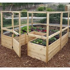 a wooden garden bed with plants growing in the top and bottom sections on each side