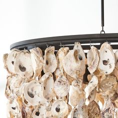 a chandelier made out of oysters hanging from a metal rod on a white wall