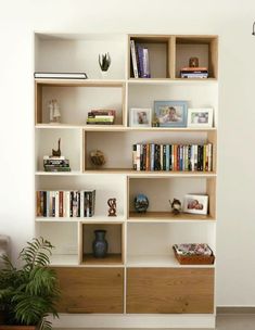 a bookshelf filled with lots of books next to a potted plant