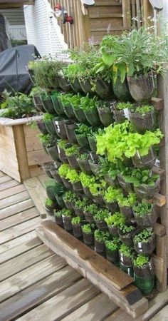 a wooden shelf filled with lots of potted plants