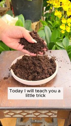 someone is scooping dirt into a white bowl