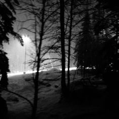 a black and white photo of trees in the snow at night with street lights on