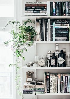 a book shelf filled with lots of books next to a potted plant on top of a table