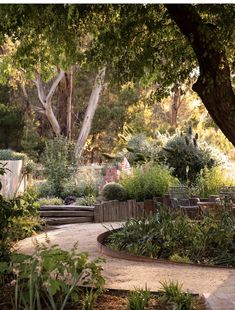 a garden with lots of plants and trees