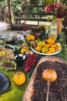 a table topped with lots of fruit and vegetables on top of a green leaf covered ground