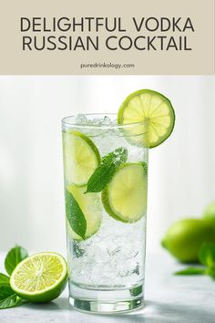 Discover the refreshing Vodka Russian Cocktail made with smooth vodka and bubbly Schweppes. An easy and delightful drink that's perfect for casual get-togethers. Easy Vodka Cocktail, Russian Vodka, Craft Cocktail, Classic Recipes