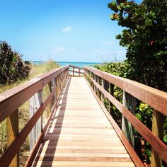 a wooden walkway leading to the beach and ocean with trees on both sides in the foreground