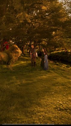 people are standing in the grass near a cow