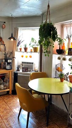 a kitchen filled with lots of potted plants