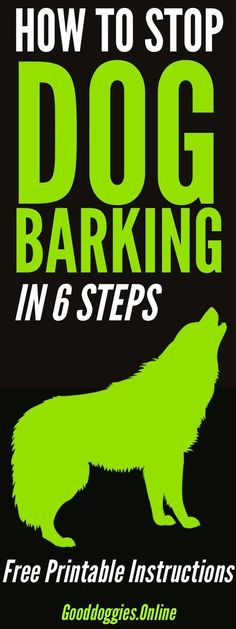 the cover of how to stop dog barking in 6 steps, with an image of a dog