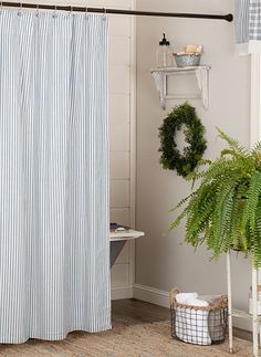 a bathroom with a shower curtain, rug and potted plant