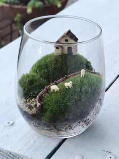 a glass vase filled with moss and small houses