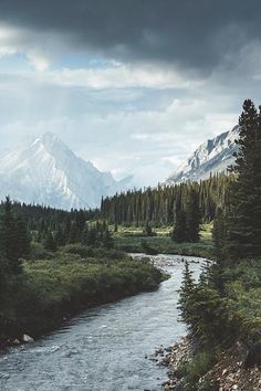 a river running through a lush green forest under a cloudy sky with mountains in the background