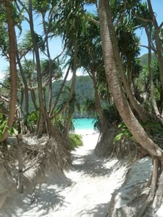 Peaceful Island Aesthetic, Phiphi Thailand, Maya Aesthetic, Thailand Aesthetic, Jungle Beach, Maya Bay, Krabi Thailand, Ao Nang, Krabi