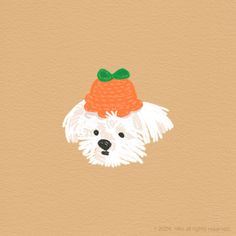 a white dog with a red hat on it's head is shown in an orange background