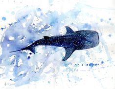 a painting of a whale in blue watercolor on white paper with splashing paint