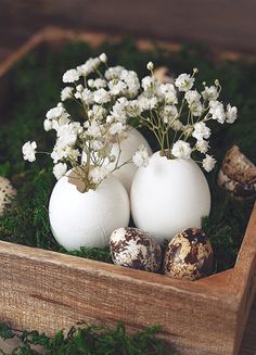 three eggs in a wooden box with white flowers on the top and grass around them