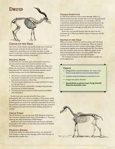 an image of a horse skeleton diagram on the back of a book page with information about it