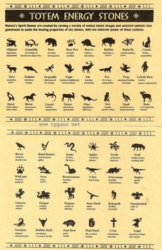 an old poster shows the different types of animals