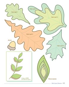 paper cut outs with leaves, acorns and leaves on them in different colors