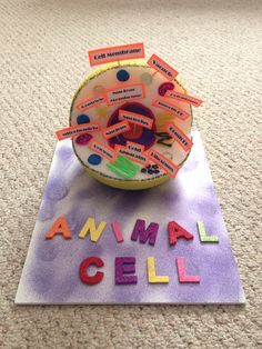 an animal cell is sitting on top of a piece of paper with words written all over it