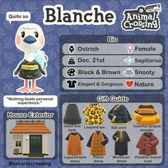 an animal crossing character is shown in the game's info sheet, with other items