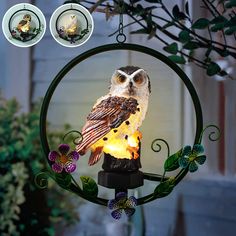 PRICES MAY VARY. Solar Powered:The owl garden decorations light is powered by solar, led lights lighting last up to 6 - 8 hours each time when fully charged. Automatically On/Off: During the day, the solar panel converts solar power into the rechargeable battery, at night, LED turns on automatically by stored energy. Waterproof and Easy to Use: All the owl ornament waterproof, hang the decorative solar owl lights on the tree or anywhere you want, and keep the switch "on" - it will Will automatic Owl Statue, Garden Owl, Solar Panel Battery, Solar Led Lights, Owl Ornament, Outside Patio, Owl Gifts, Owl Decor, Owl Lovers