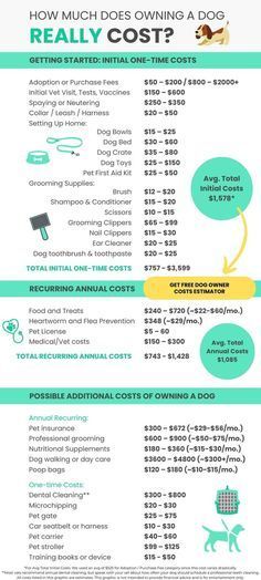 a flyer for an animal care business with information on how much does owning a dog?