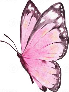 mariposa acuarela ilustración Water Colour Butterfly, Butterfly Painting Easy, Butterfly Reference, Drawing Butterflies, Mariposa Butterfly, Butterfly Art Drawing, Watercolor Butterflies, Watercolor Butterfly, Watercolor Christmas Tree