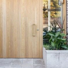 a wooden door with a planter in front of it