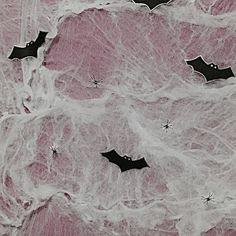 some bats flying in the air with spider webs