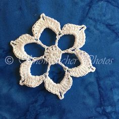 a crocheted white flower on a blue background