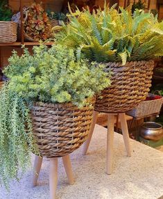 two wicker baskets filled with plants sitting on top of a counter