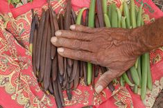 an old person holding green beans in their hands