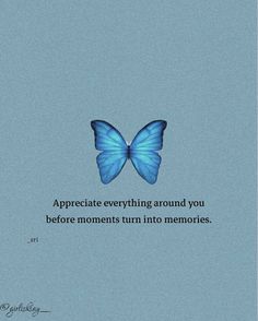 a blue butterfly with the quote appreciate everything around you before moments turn into memorys