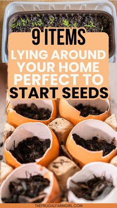 seeding trays filled with plants and dirt on top of each other, with text overlay saying 9 items living around your home perfect to start seeds