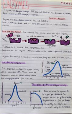 a piece of paper that has some writing on it with different types of graphs and numbers