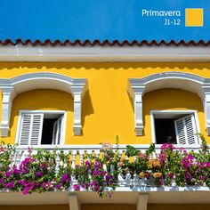 two windows with white shutters and flowers on the balconies