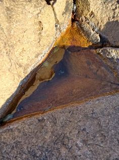 a close up of a rock with water in it