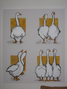 four white geese standing in front of an orange and yellow background, with one duck looking at the camera